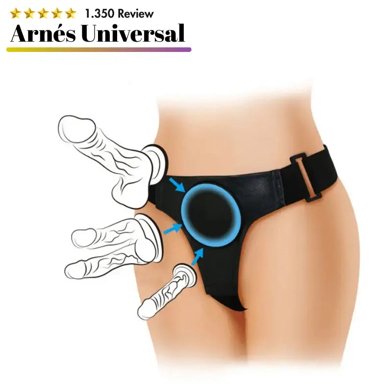 Arnés Universal